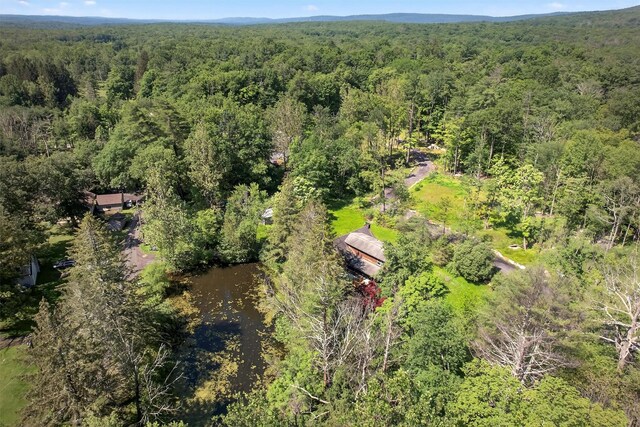 321 Spadola Ln, Pine Bush, NY 12566 - photo 32