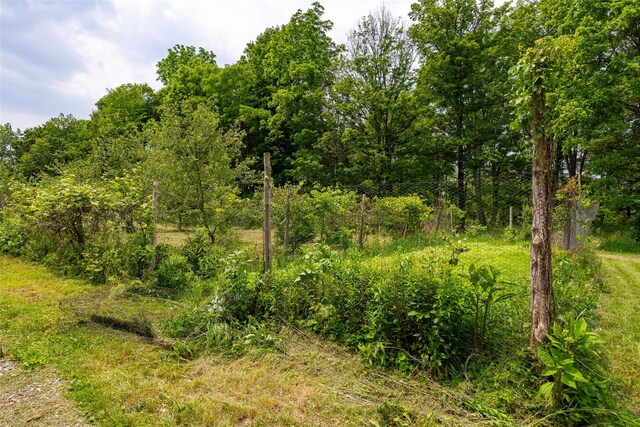 345 Metzger Rd, Red Hook, NY 12571 - photo 4