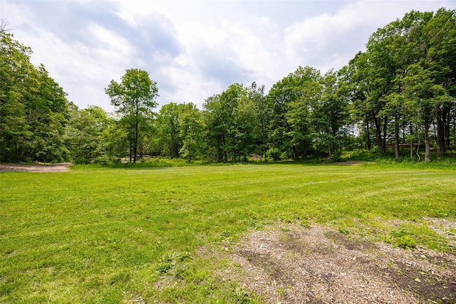 345 Metzger Rd, Red Hook, NY 12571 - photo 8