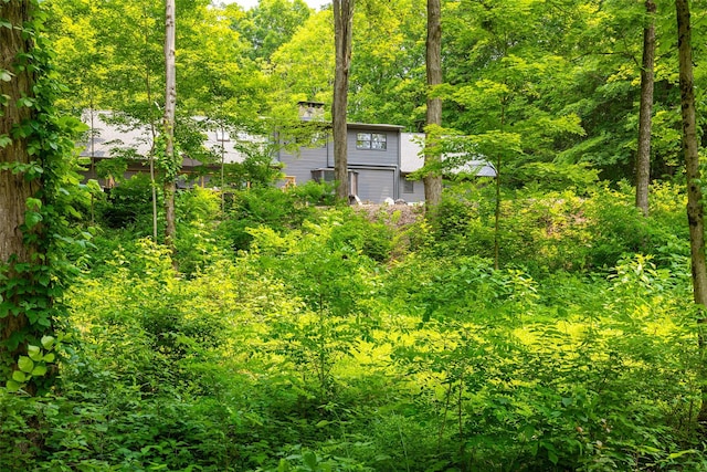 345 Metzger Rd, Red Hook, NY 12571 - photo 9