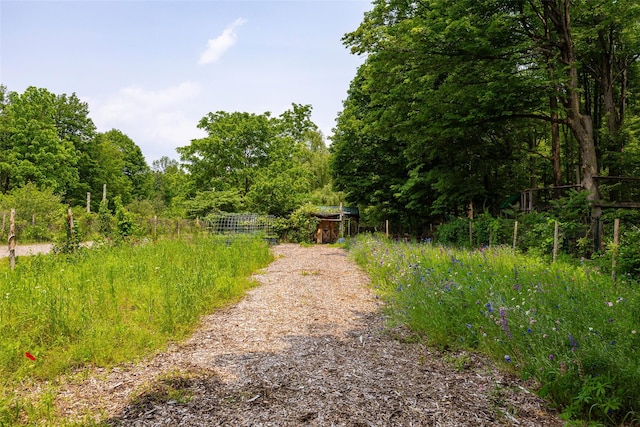 345 Metzger Rd, Red Hook, NY 12571 - photo 36