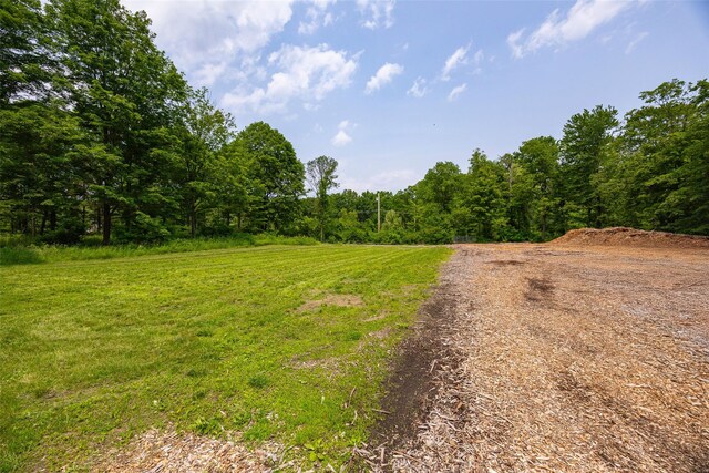 345 Metzger Rd, Red Hook, NY 12571 - photo 37