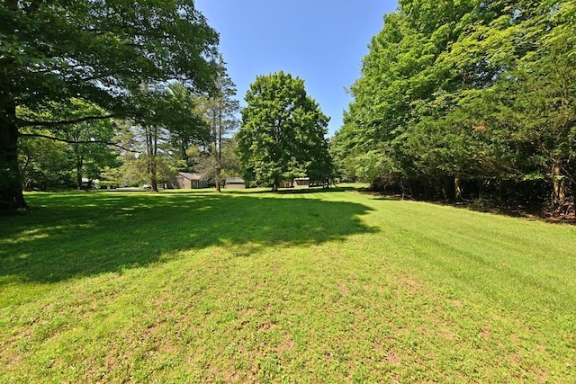 5 Pomona Ln, Spring Valley, NY 10977 - photo 11