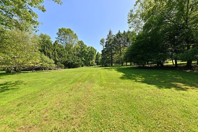 5 Pomona Ln, Spring Valley, NY 10977 - photo 12