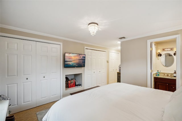 9 Elaine Pl, Plainview, NY 11803 - bedroom featuring multiple closets, ornamental molding, carpet flooring, and connected bathroom