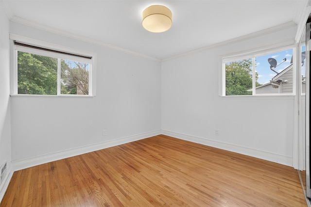 7 Fuller Rd, Ossining, NY 10562 - unfurnished room featuring plenty of natural light, light wood-type flooring, and crown molding