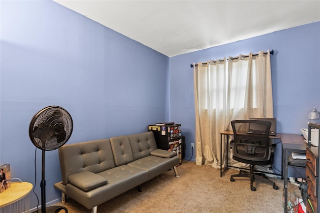 18 Berkeley Ave, Selden, NY 11784 - home office with carpet