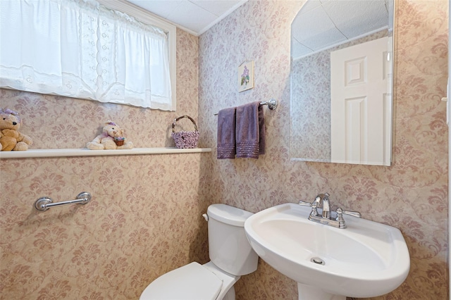 15 Peony Ln, Commack, NY 11725 - bathroom featuring a sink and toilet
