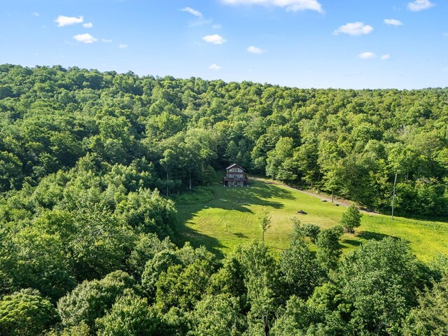 734 Lewis Rd, Walton, NY 13856 - photo 9