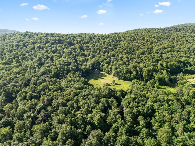 734 Lewis Rd, Walton, NY 13856 - photo 10