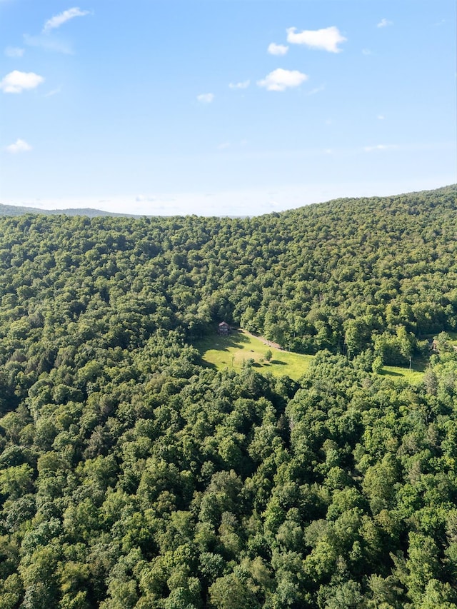 734 Lewis Rd, Walton, NY 13856 - photo 12