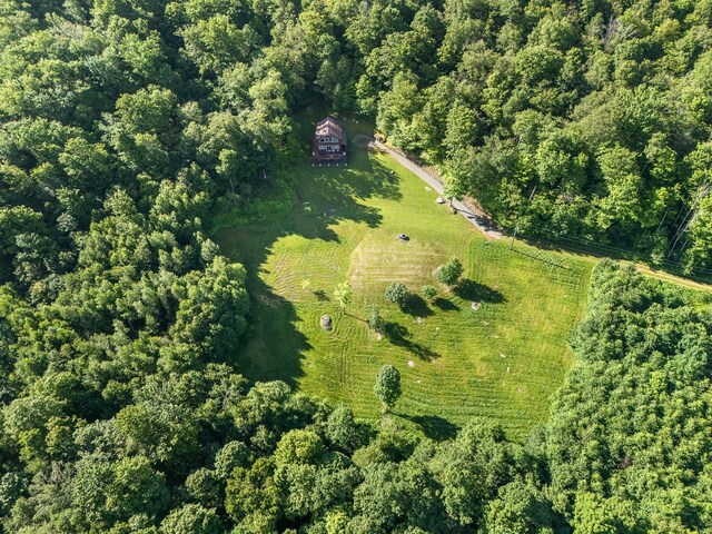 734 Lewis Rd, Walton, NY 13856 - photo 13