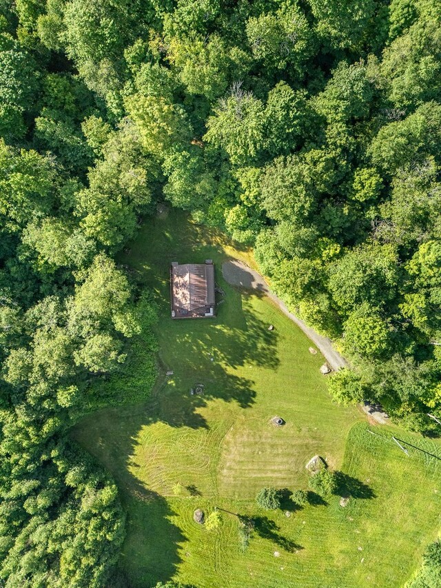 734 Lewis Rd, Walton, NY 13856 - photo 14