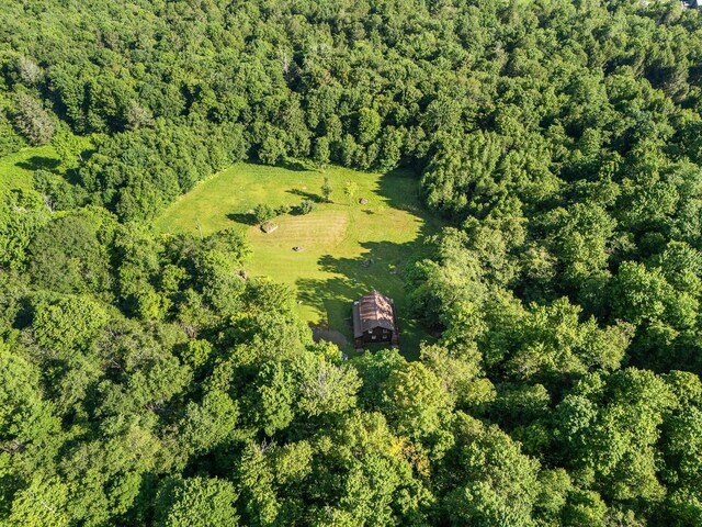 734 Lewis Rd, Walton, NY 13856 - photo 15