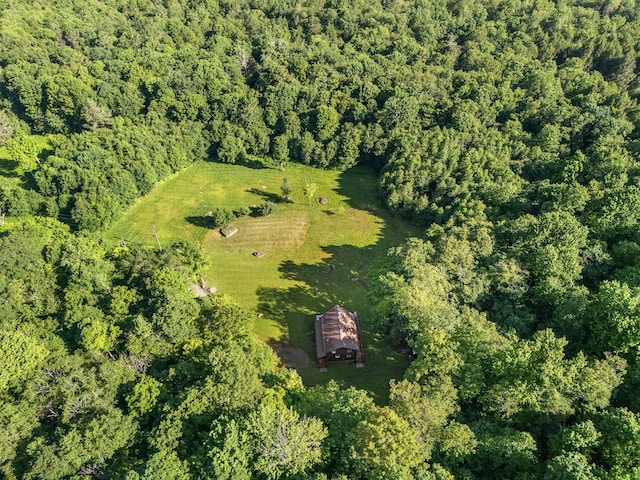 734 Lewis Rd, Walton, NY 13856 - photo 16