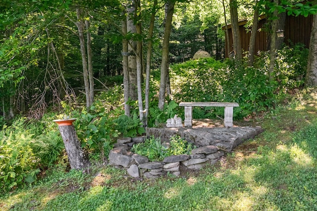 734 Lewis Rd, Walton, NY 13856 - photo 24