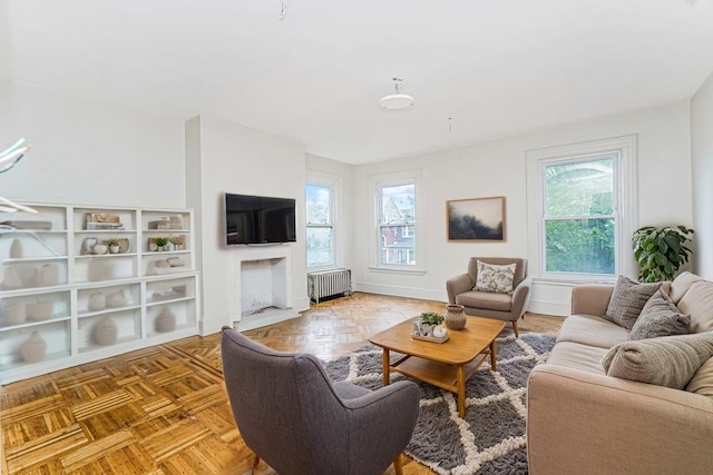 335 E 18th St, Brooklyn, NY 11226 - living area featuring radiator and a fireplace
