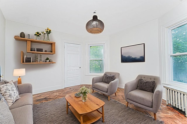335 E 18th St, Brooklyn, NY 11226 - living room with baseboards