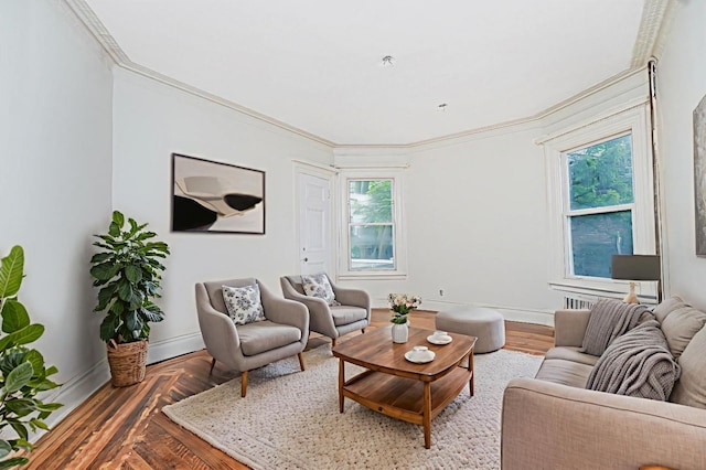 335 E 18th St, Brooklyn, NY 11226 - living area with healthy amount of natural light and crown molding