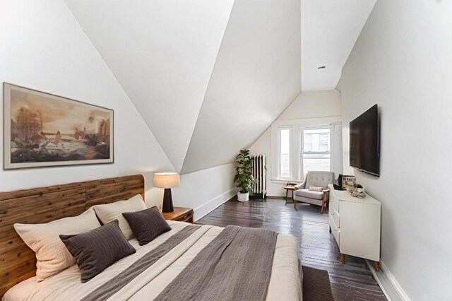 335 E 18th St, Brooklyn, NY 11226 - bedroom featuring lofted ceiling and dark wood finished floors
