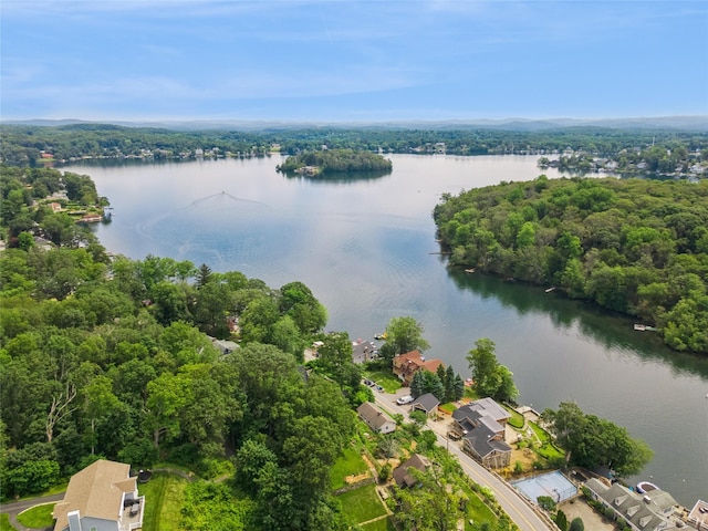 101 W Lake Blvd, Mahopac, NY 10541 - photo 29