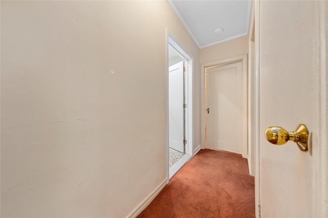 48-67 187th St, Fresh Meadows, NY 11365 - hall with ornamental molding and carpet flooring