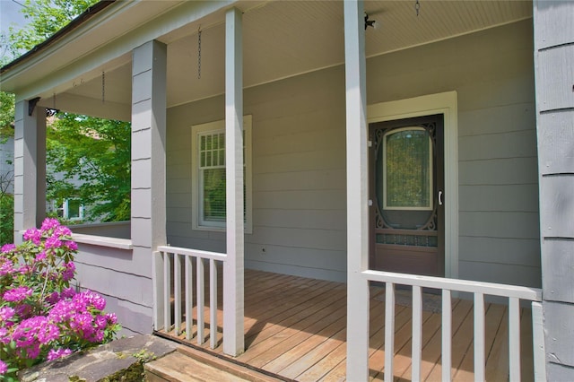 641 Debruce Rd, Livingston Manor, NY 12758 - photo 4