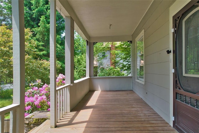 641 Debruce Rd, Livingston Manor, NY 12758 - photo 5