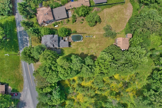 641 Debruce Rd, Livingston Manor, NY 12758 - photo 7