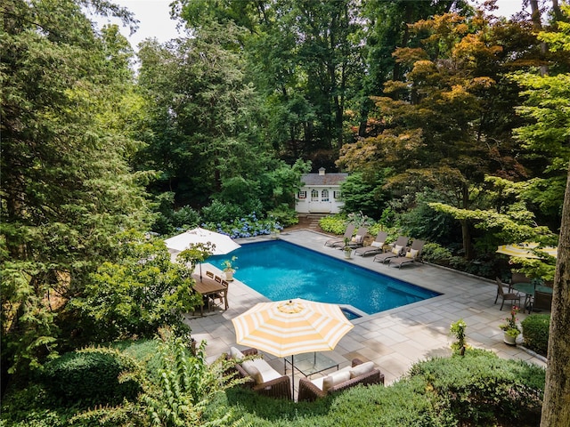 15 Glen Pk Rd, Purchase, NY 10577 - swimming pool with an outdoor structure, a patio, an exterior structure, a view of trees, and outdoor dining area