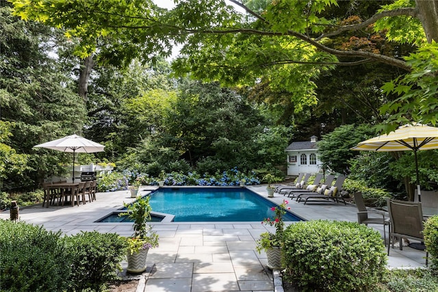 15 Glen Pk Rd, Purchase, NY 10577 - outdoor pool with a patio and outdoor dining area