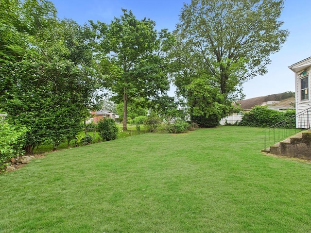 811 Bellmore Ave, East Meadow, NY 11554 - view of yard