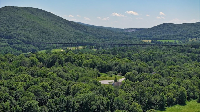 17 Purdy Ln, New Windsor, NY 12553 - photo 42