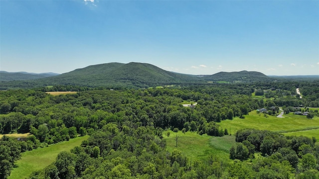 17 Purdy Ln, New Windsor, NY 12553 - photo 43