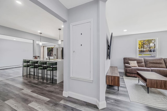 73 S Evergreen Dr, Selden, NY 11784 - living area featuring wood finished floors, recessed lighting, and a baseboard radiator