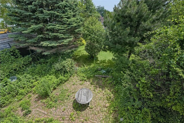 9911 213th St, Queens Village, NY 11429 - photo 22