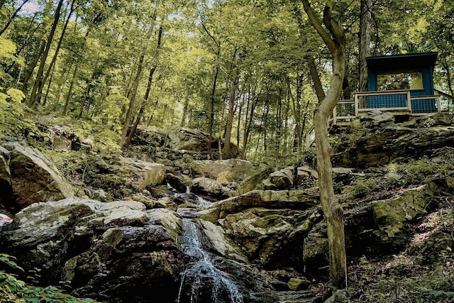 169 Mountain Rd, Cornwall On Hudson, NY 12520 - view of wooded area