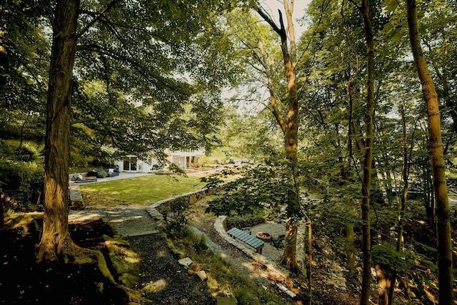 169 Mountain Rd, Cornwall On Hudson, NY 12520 - view of grassy yard