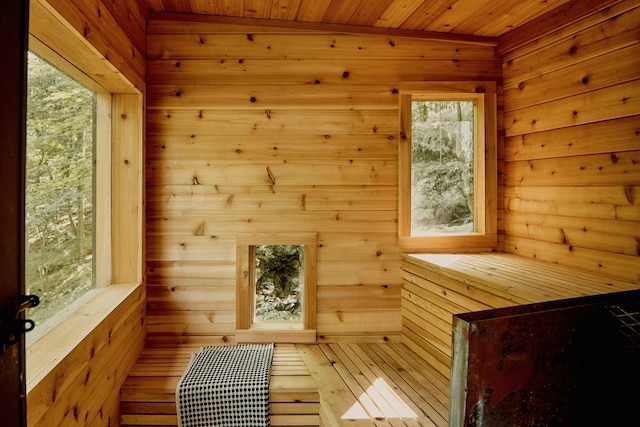 169 Mountain Rd, Cornwall On Hudson, NY 12520 - sauna / steam room with wooden walls, wood ceiling, and healthy amount of natural light