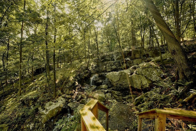 169 Mountain Rd, Cornwall On Hudson, NY 12520 - view of tree filled area