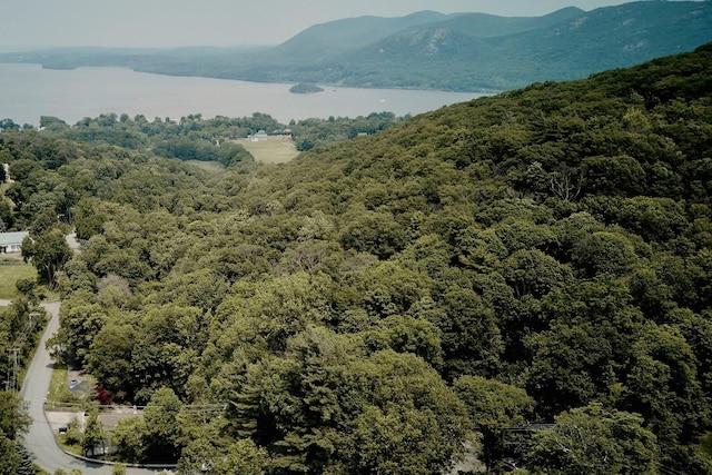 169 Mountain Rd, Cornwall On Hudson, NY 12520 - view of mountain backdrop with a forest and a nearby body of water