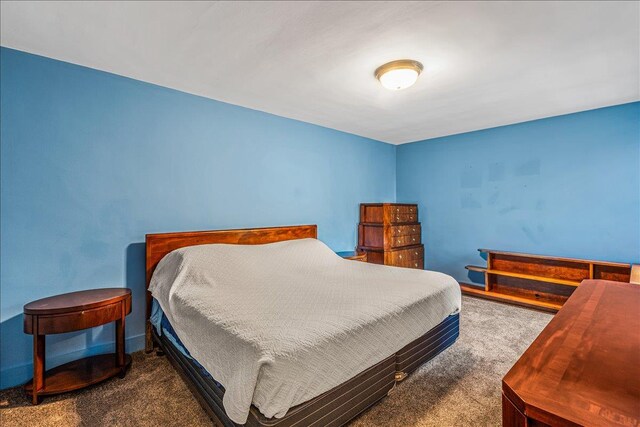 139-15 83rd Ave Unit 520, Briarwood, NY 11435 - view of carpeted bedroom
