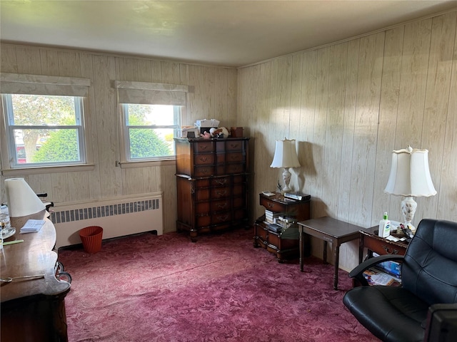 761 Barkley Ave, East Meadow, NY 11554 - sitting room with radiator, carpet flooring, and wooden walls