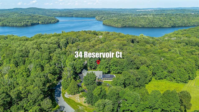 34 Reservoir Ct, Carmel, NY 10512 - photo 50
