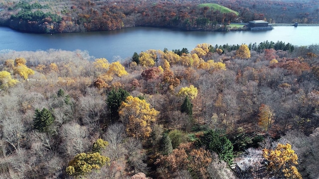 42 Raspberry Ln, Carmel, NY 10512 - bird's eye view of a forest and a nearby body of water