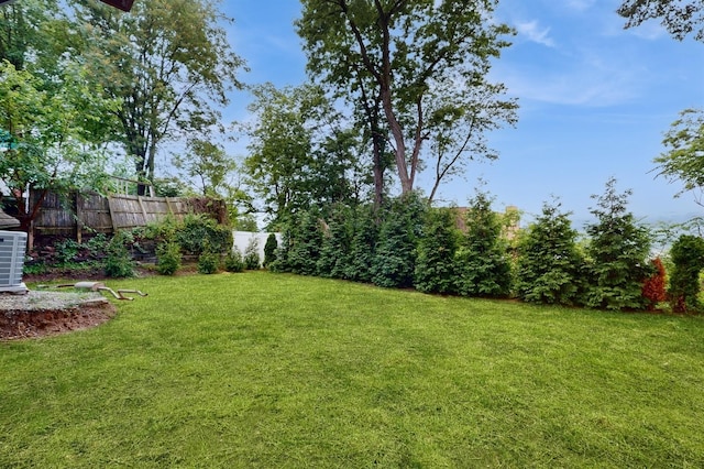 17 Arthur Pl, Yonkers, NY 10701 - view of yard