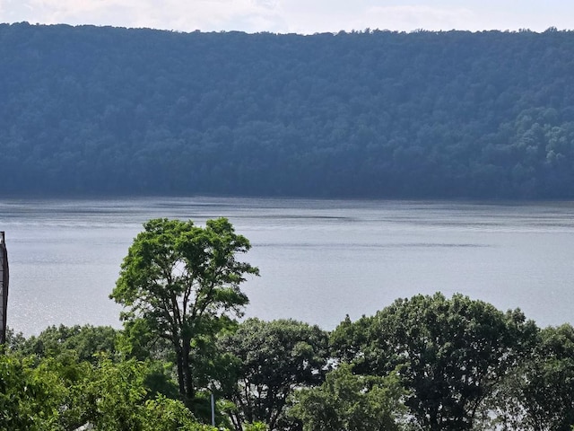 17 Arthur Pl, Yonkers, NY 10701 - water view