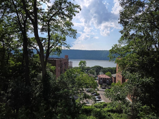 17 Arthur Pl, Yonkers, NY 10701 - water view with a heavily wooded area