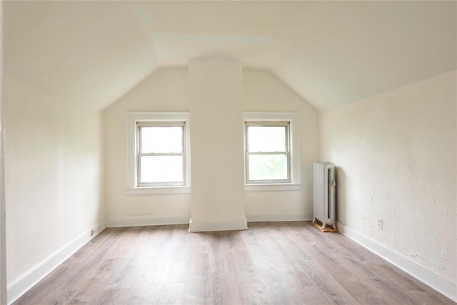 24 Parsons Dr, Hempstead, NY 11550 - additional living space featuring radiator, light wood-style flooring, plenty of natural light, and lofted ceiling
