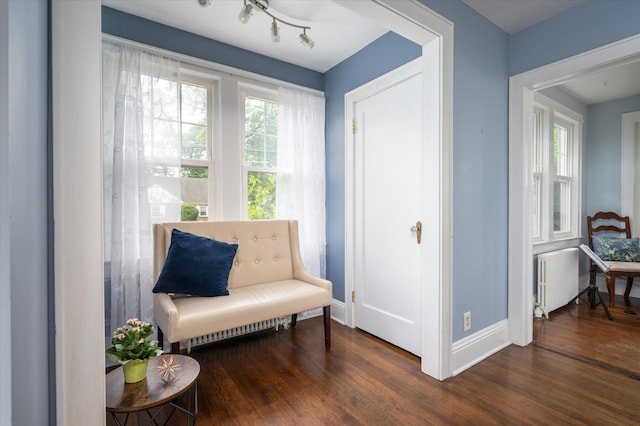 3665 Lufberry Ave, Wantagh, NY 11793 - sitting room with radiator and dark wood finished floors